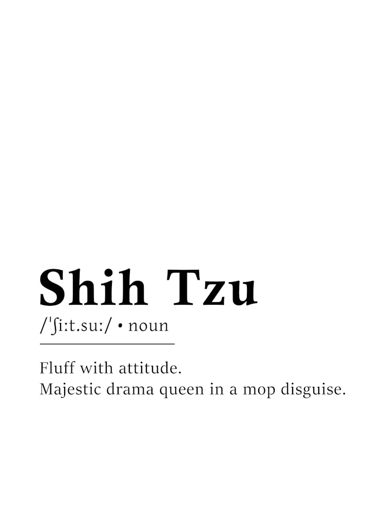 Shih Tzu Definition Poster - Dictionary