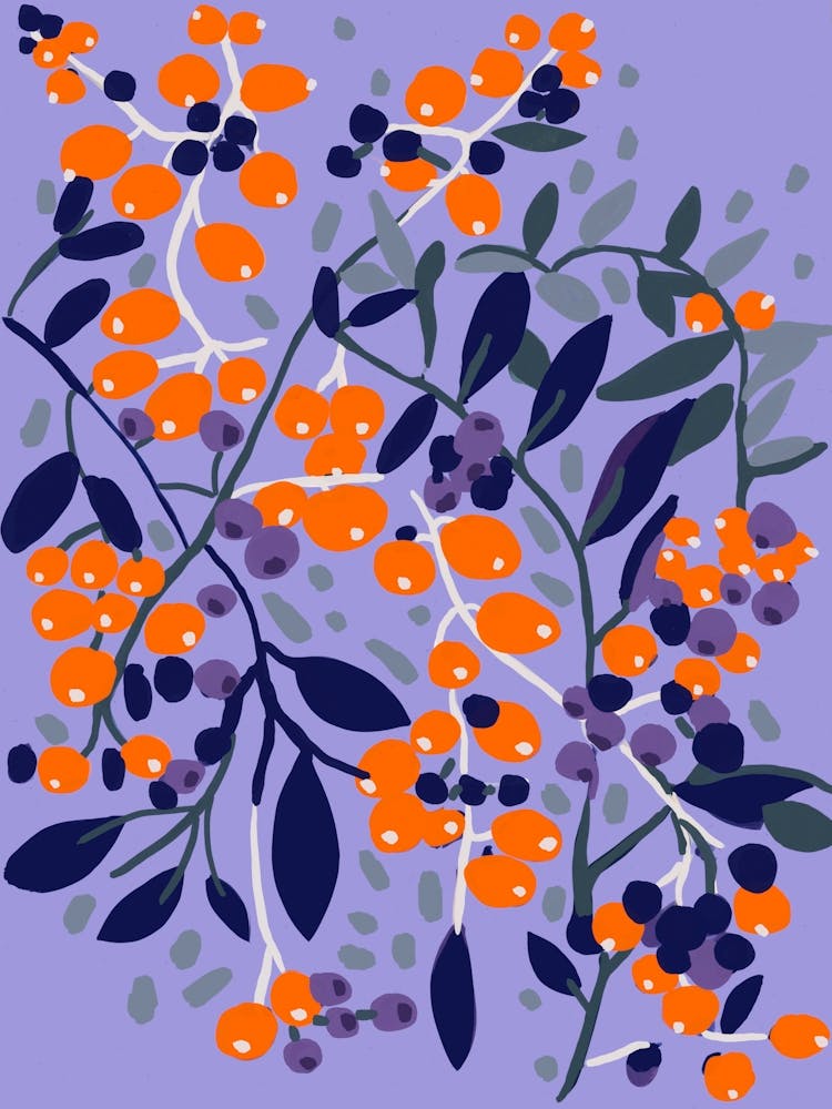 Blue And Red Berries