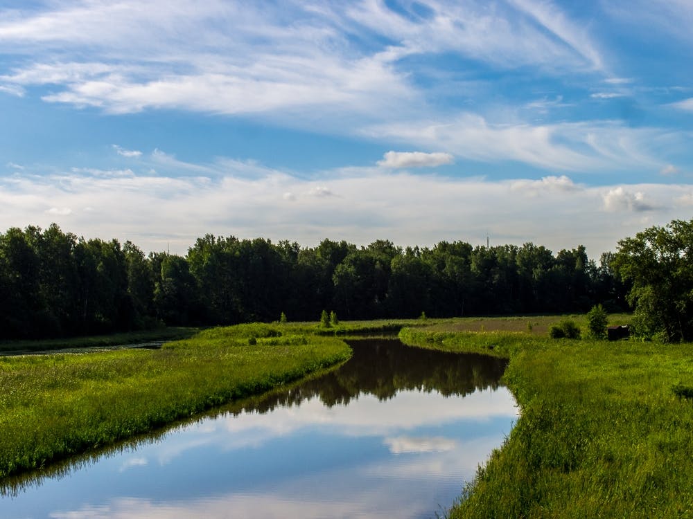River In A Field