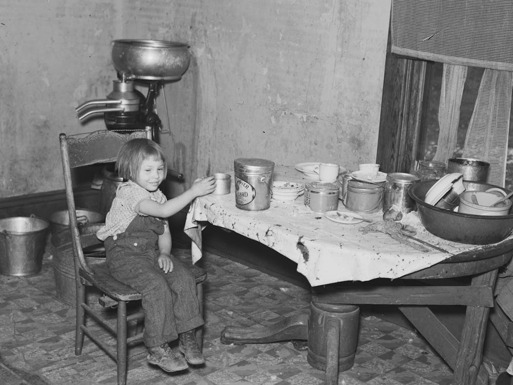 Daughter Of John Baker In Kitchen Of The Farm Home, Divide County, North Dakota By Russell Lee