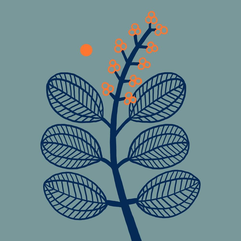 Blooming Shrub Square