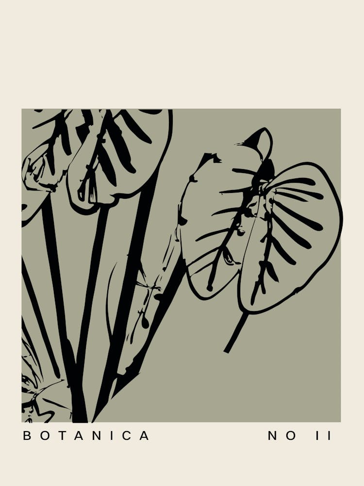 Botanica line no 47