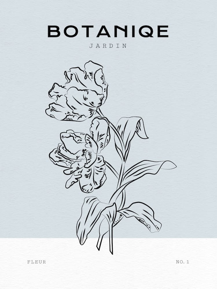 Boho Bohemian 2 Tulipa