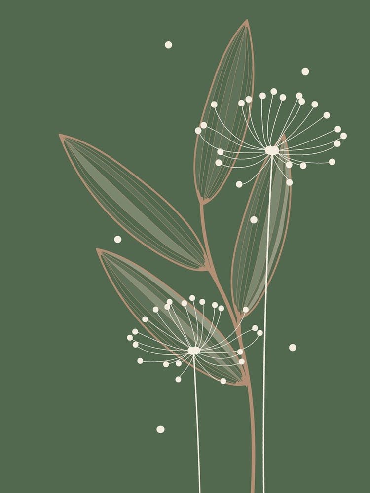 Dandelion