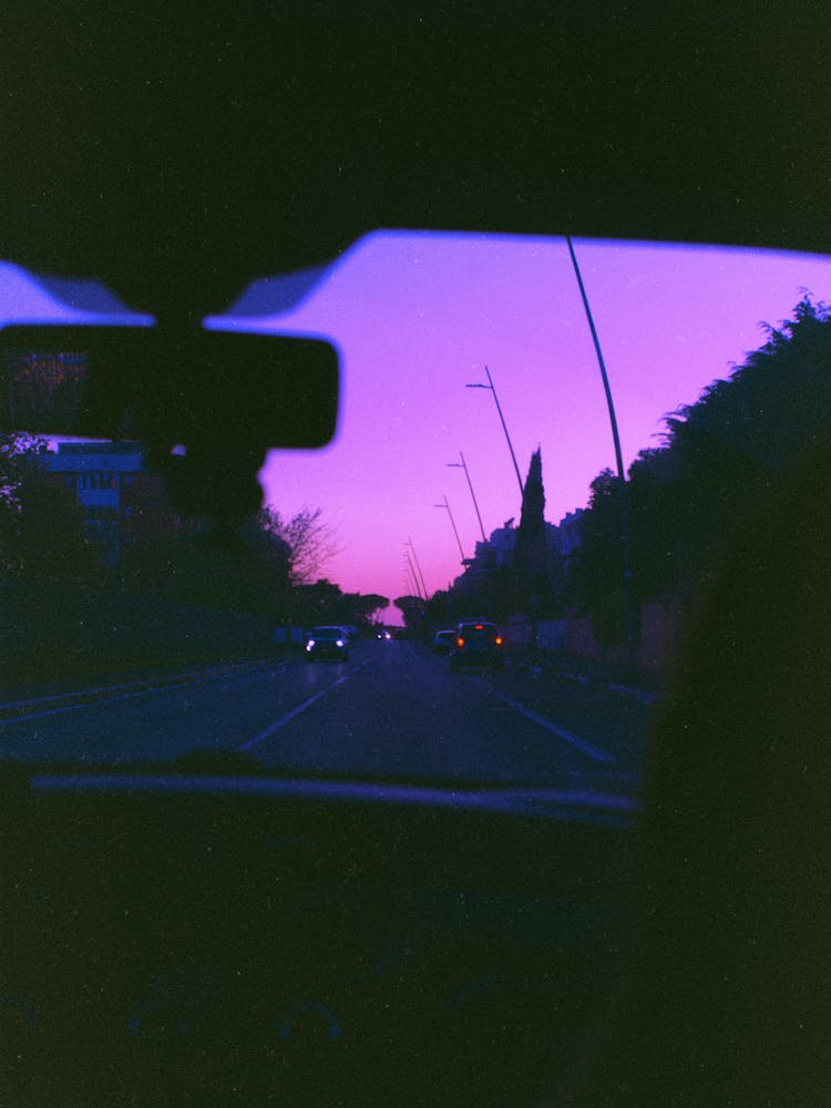 Under the purple sky