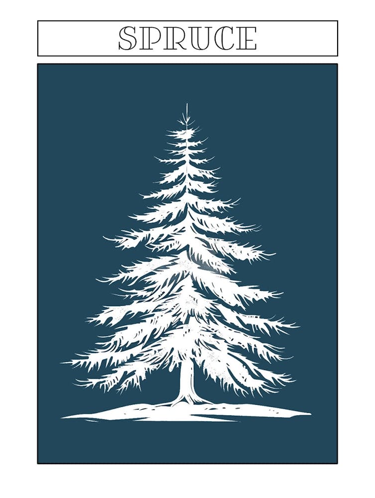 Spruce Tree Minimalistic Drawing 3 Poster