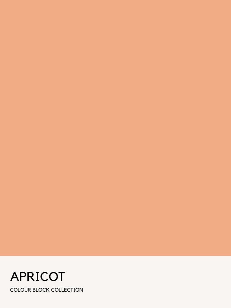 Apricot Colour Block Poster