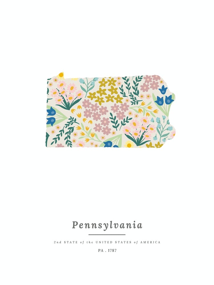 Pennsylvania | Wildflower Mix