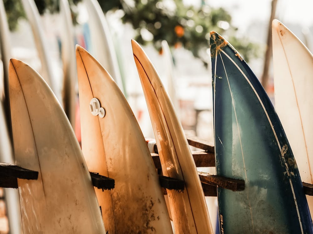 Surf Board Rental