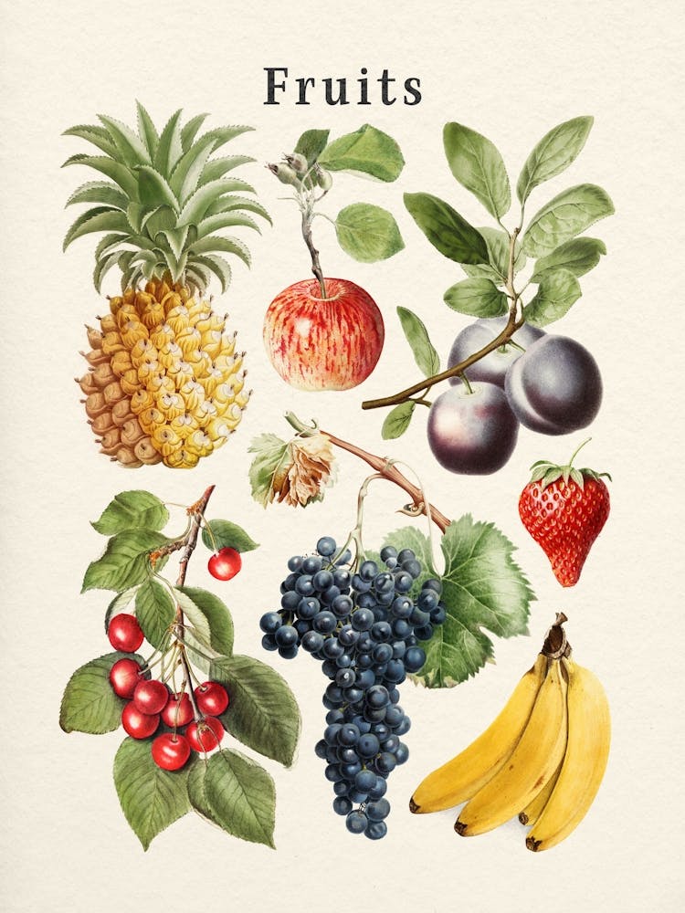 Fruits Collection