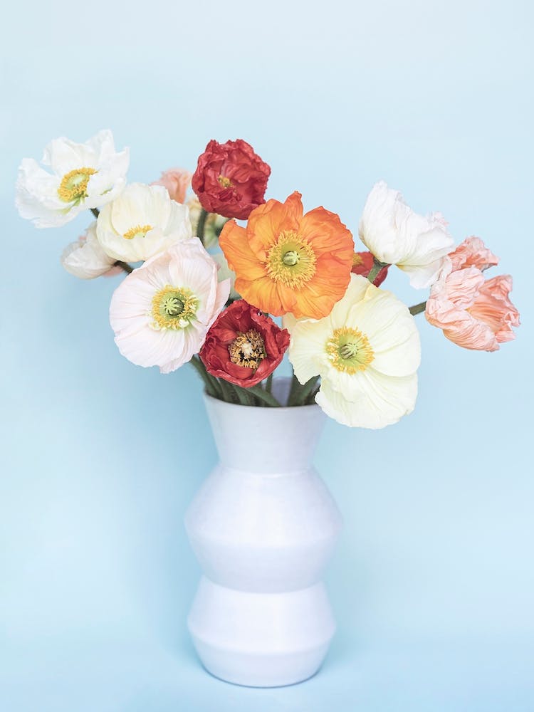 Poppies In A Vase