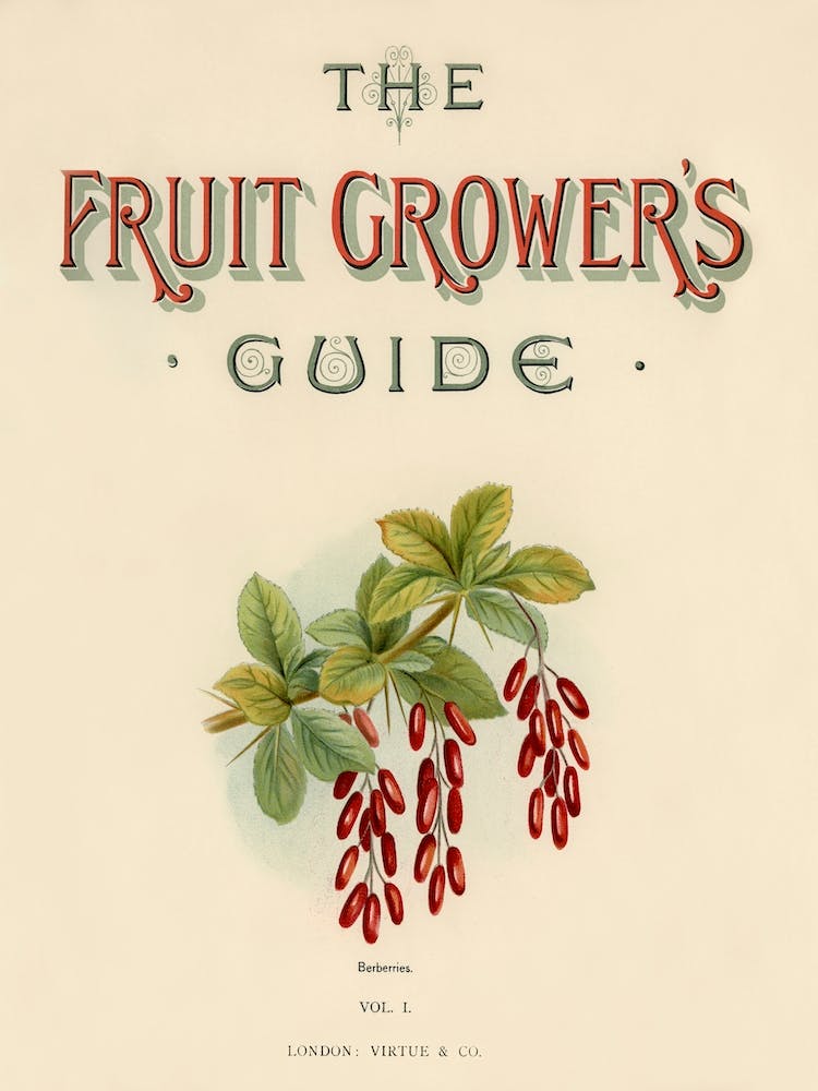Vintage Illustration Of Fruit Grower S Guide, John Wright