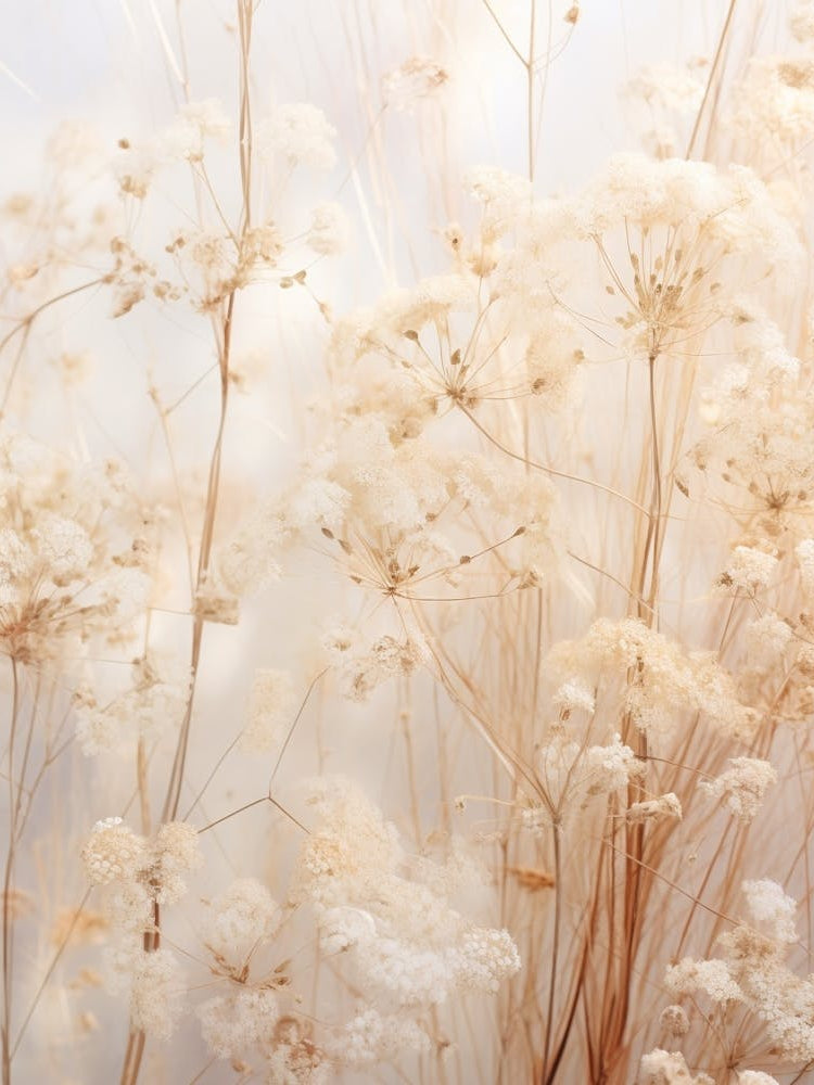 Boho Dried Flowers Babys Breath 3