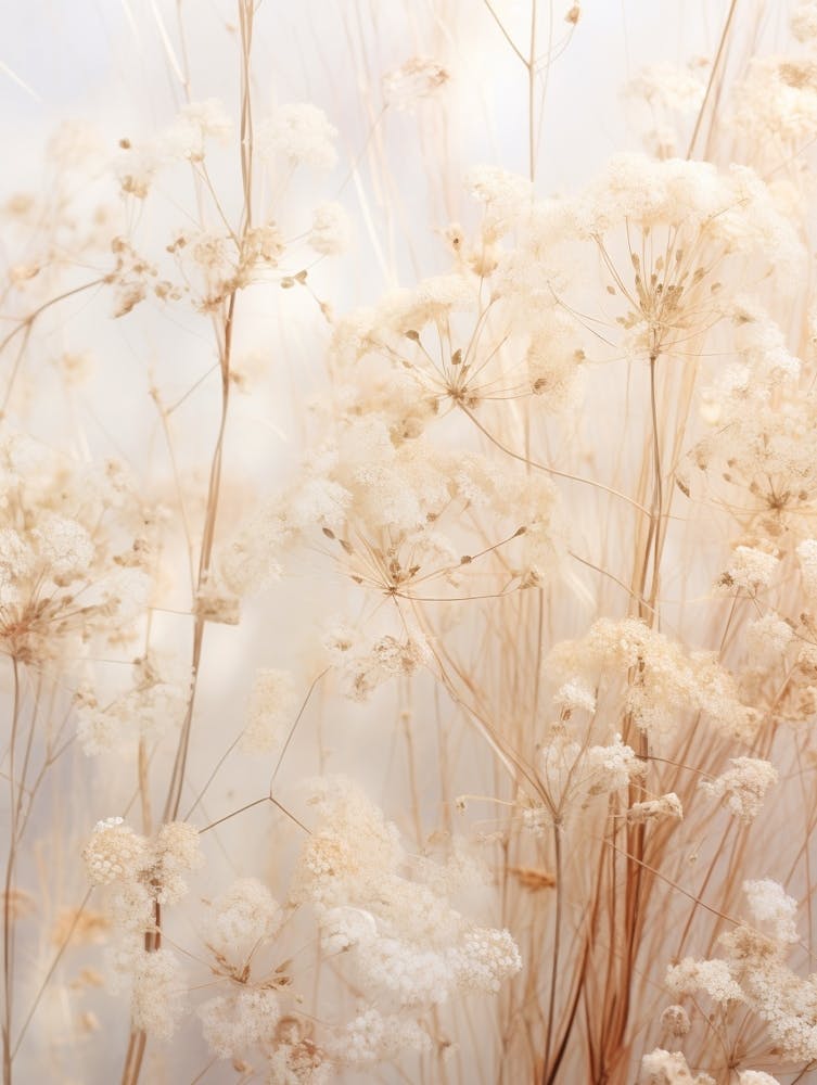 Boho Dried Flowers Babys Breath 3