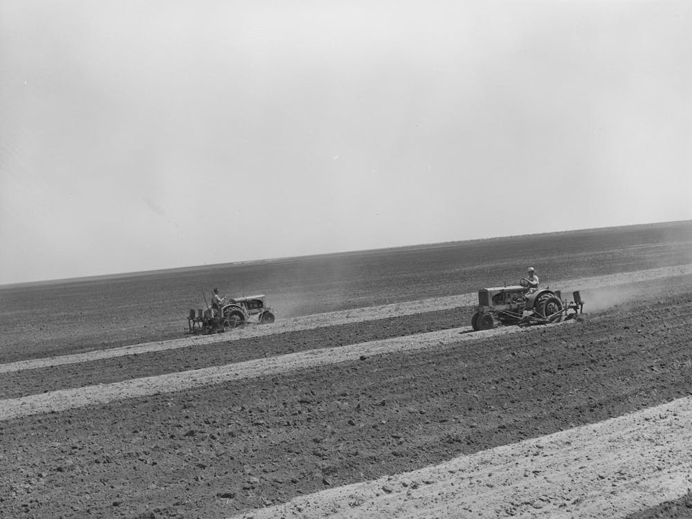 Tractor Farming On 4900 Acre Ranch Near Ralls, Texas By Russell Lee