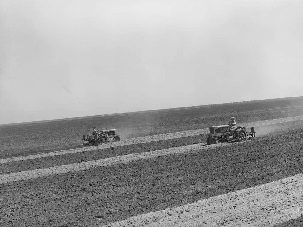 Tractor Farming On 4900 Acre Ranch Near Ralls, Texas Par Russell Lee