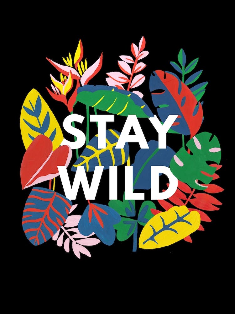 Stay Wild