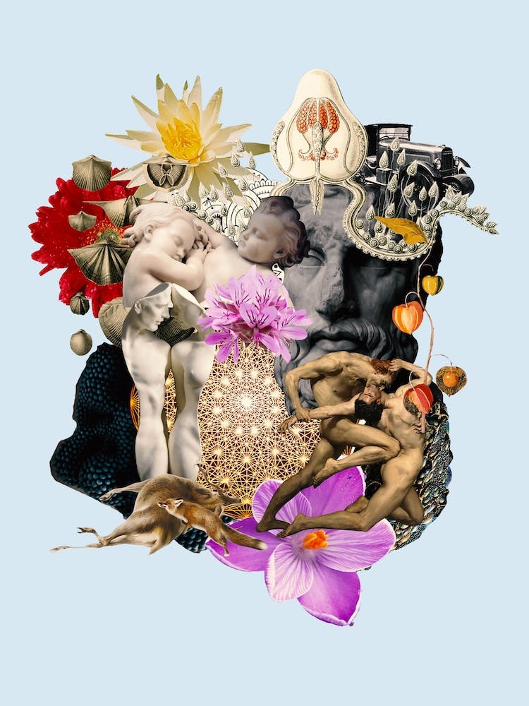 Io Sono L'Amore