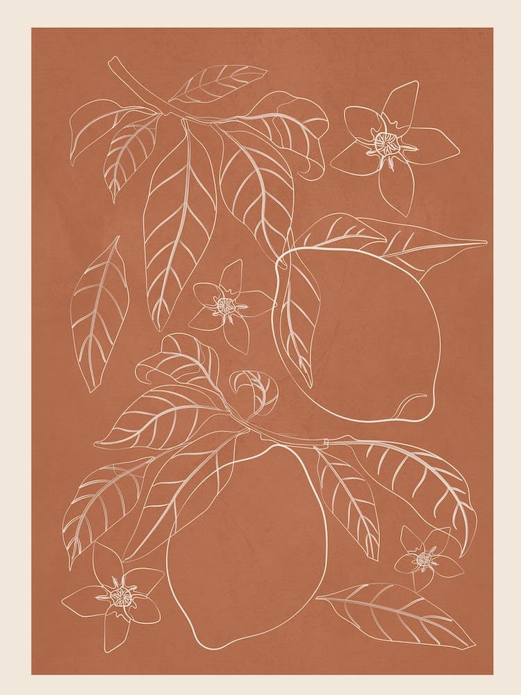 Lemons Line Art