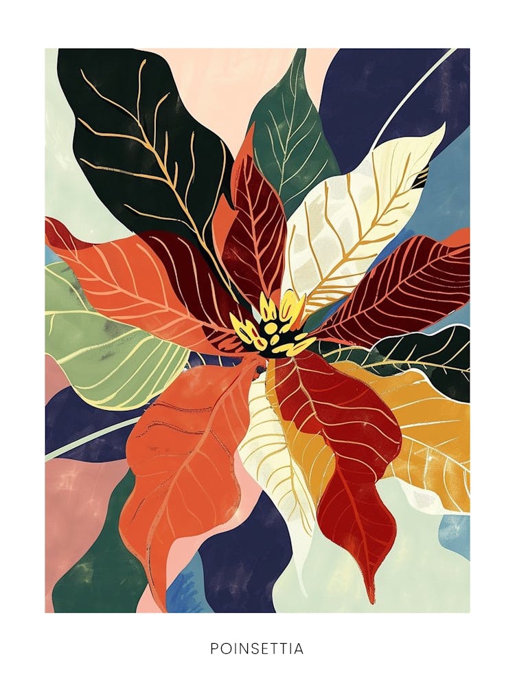 Farbenfrohe Blumenillustration Poster Poinsettie 1