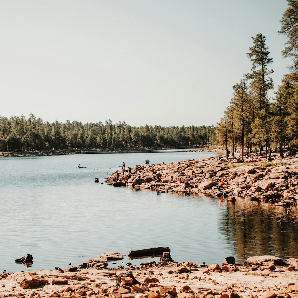 Willow Springs Lake Square