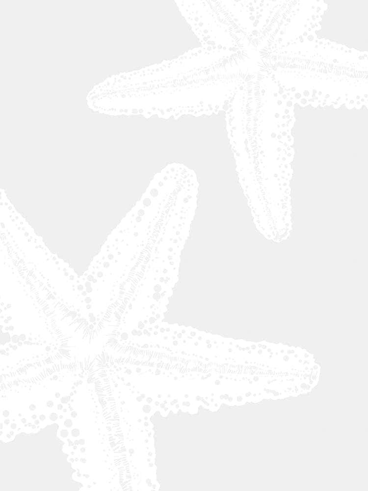 White Starfish