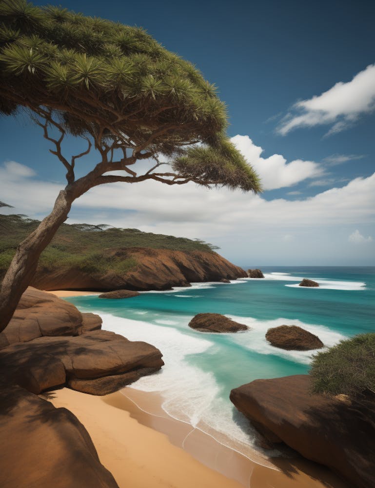 African Beach