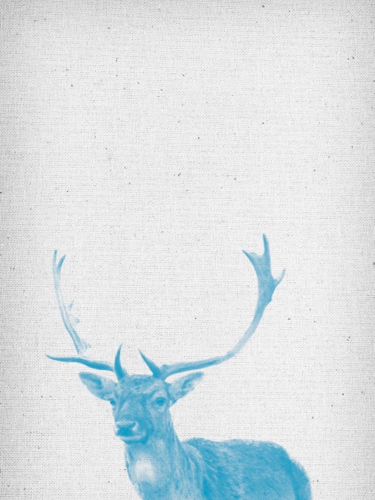 Hirsch I
