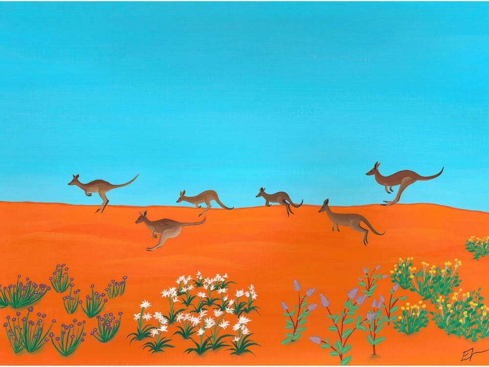 Kangaroos Across The Simpson