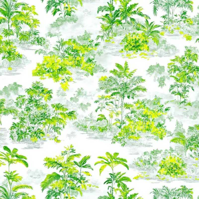 Tropical Jungle