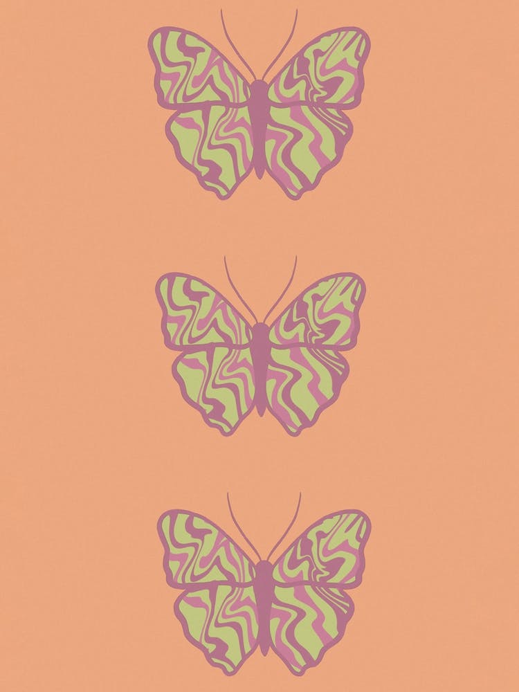Orange Butterfly x 3