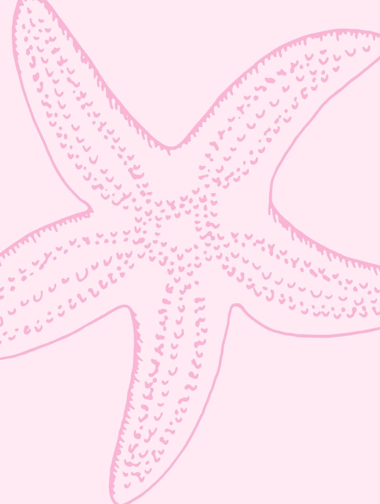 Pink Starfish