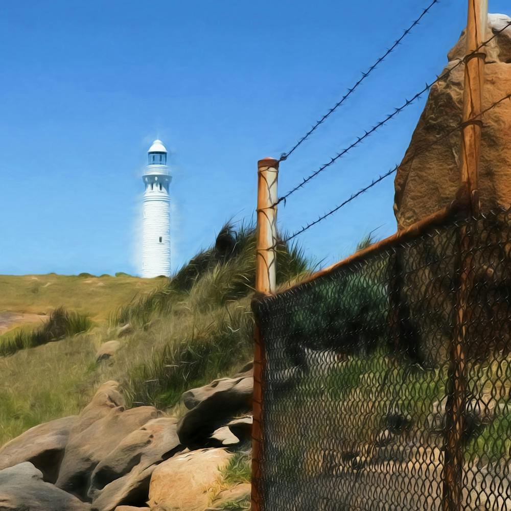 Lighthouse And Fence