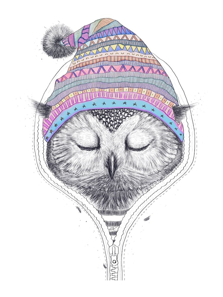 Owl In A Hood