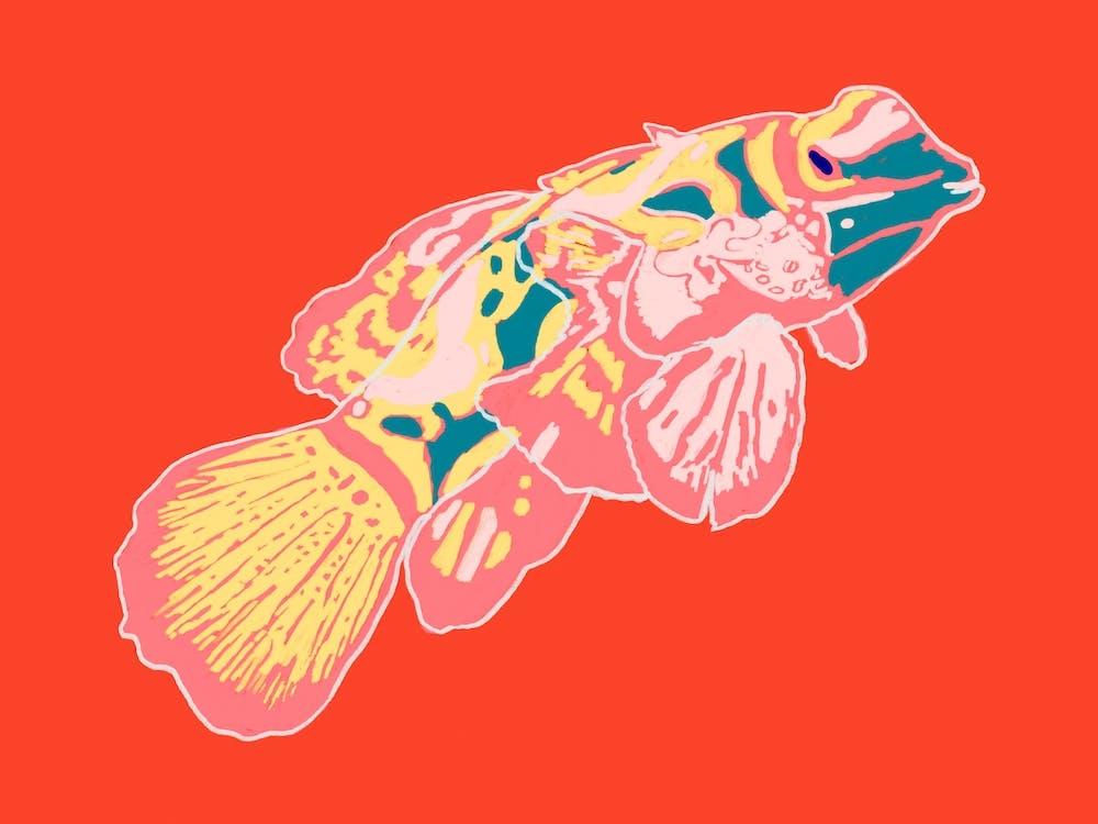 Fisch der Farben