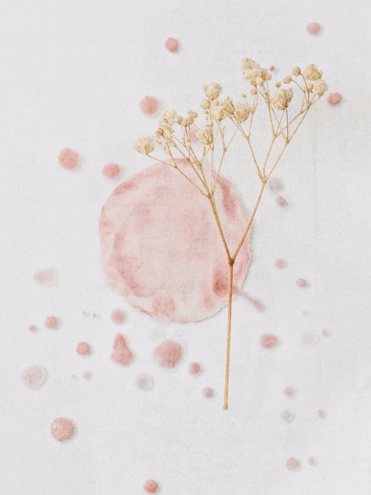 Delicate Botanics On Watercolor Pink