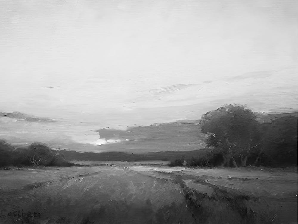 Landscape In Black And White