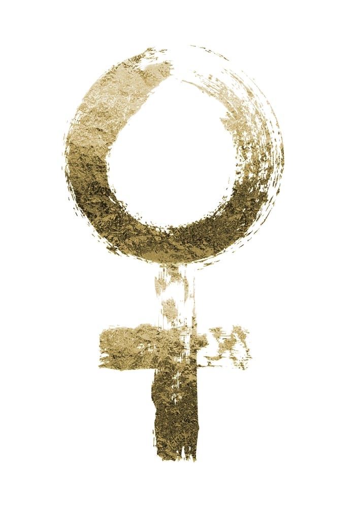 Feminist Shapes
