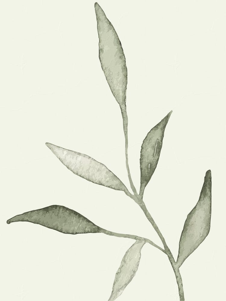Thin Green Leaves