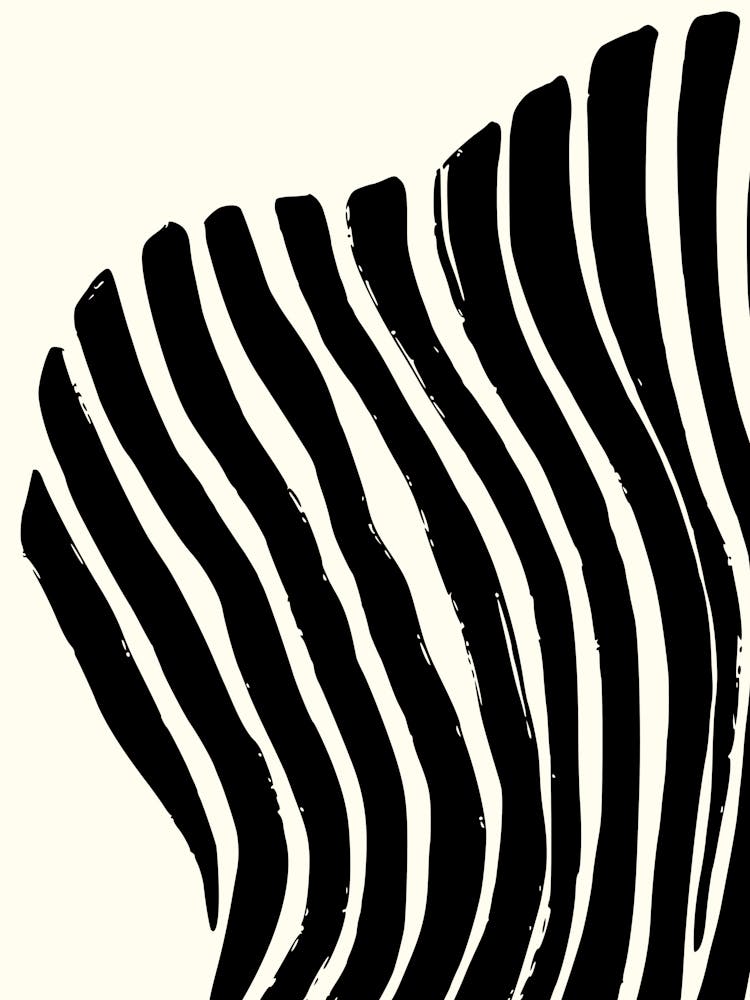 Zebra Stripes