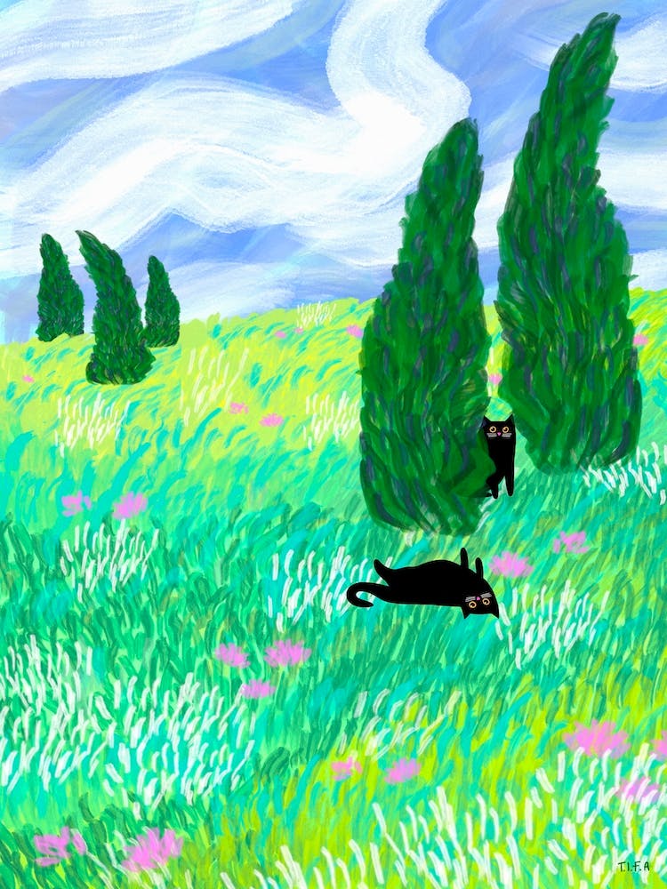 Field Cats