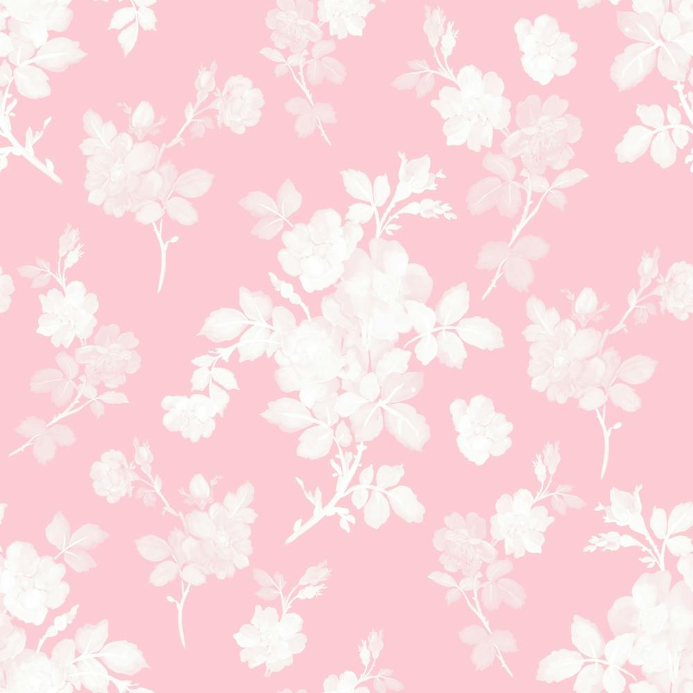 Pink and White Roses