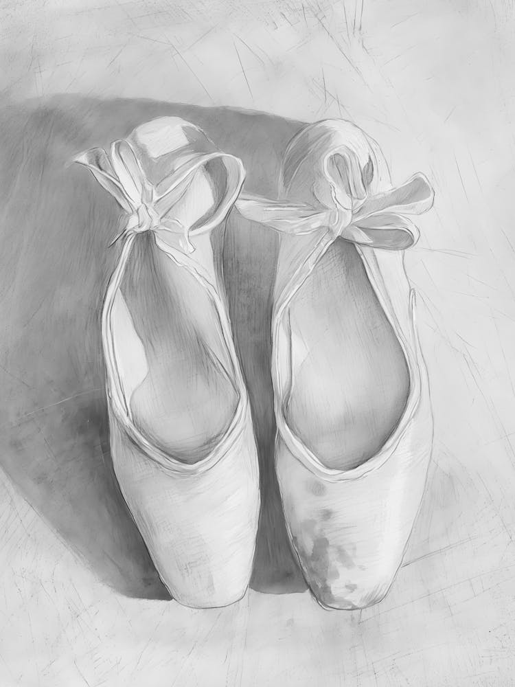 Ballet Shoes 2