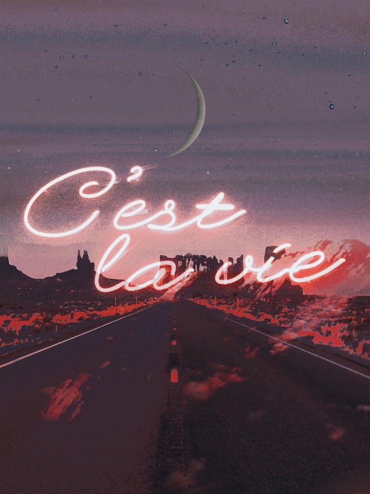 C'est La Vie Neon Sign