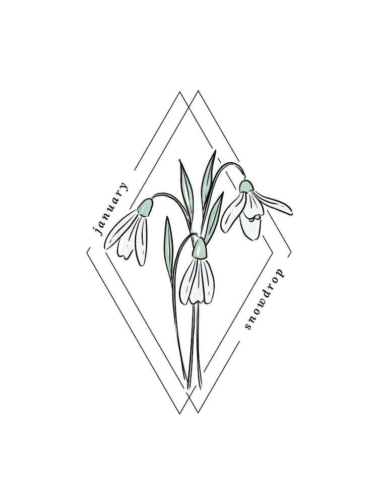 January Snowdrop Birth Flower