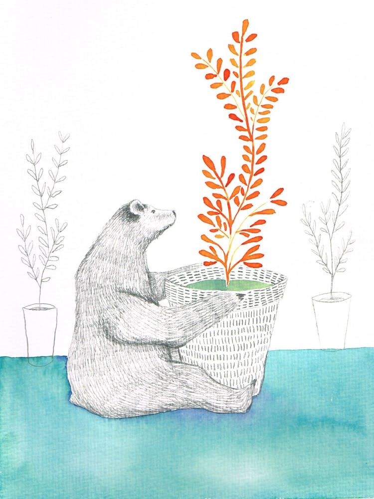 Bear and Plant