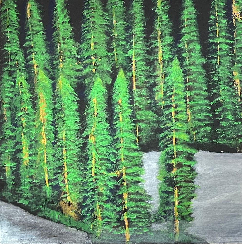 Pine Trees In The Snow