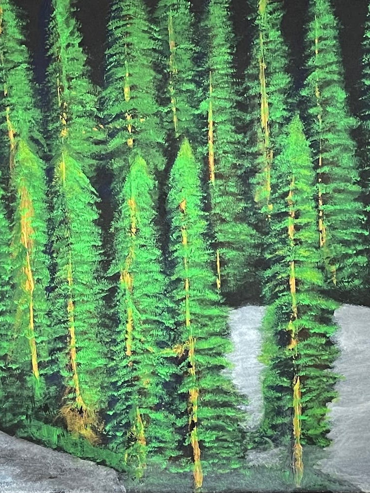 Pine Trees In The Snow