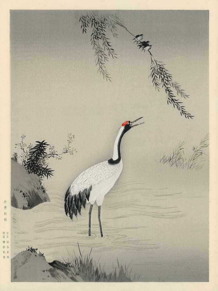 Japanese Crane