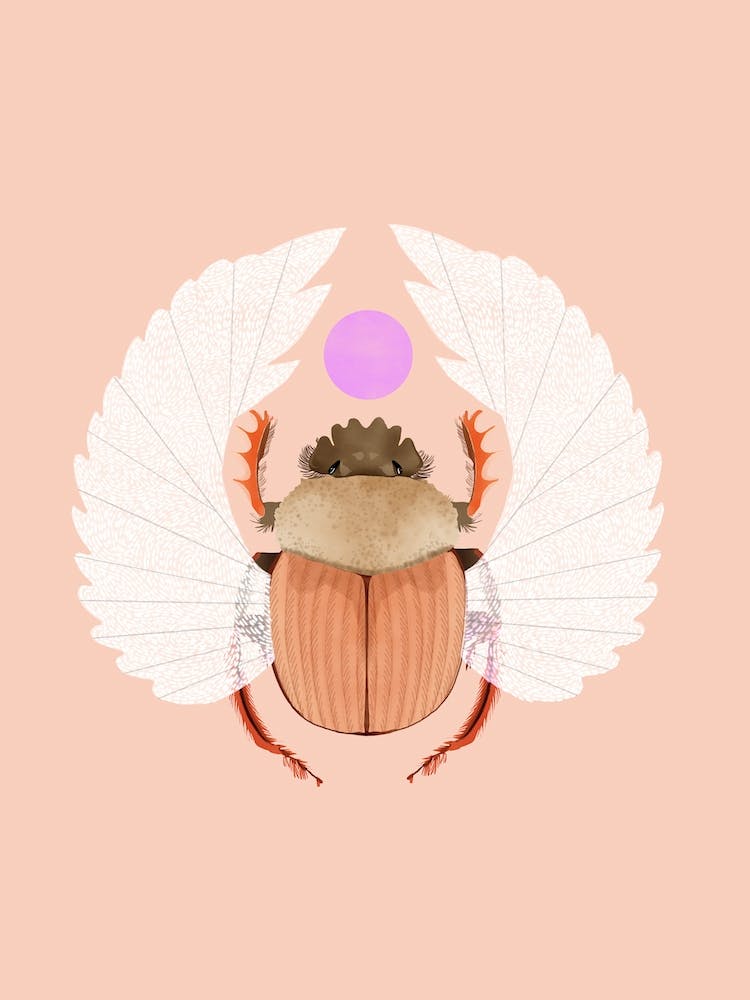 Scarab Beetle